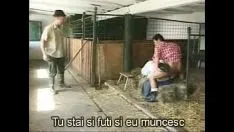 Reproduzir Filmes pornôs traduzidos em romeno How On The Farm Workers Fuck In The Stables The Whore