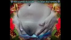 Reproduzir Ela se prepara para o Natal mostra suas formas na web