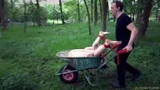 Play The young woman seized in the forest and fucked